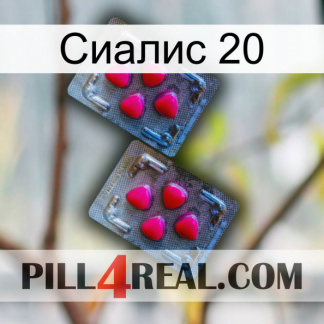 Сиалис 20 14